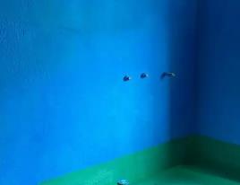 东坡卫生间测漏水多少钱