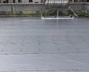 东坡测漏水电话